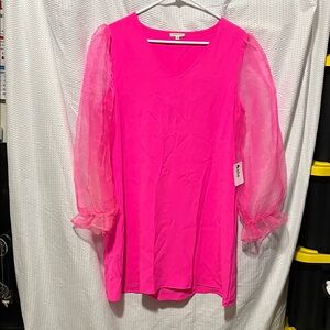 Chic Fuchsia Long Sleeve Dress